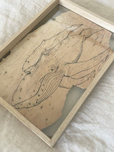 Load image into Gallery viewer, Mother + Calf Humpback | Paperbark
