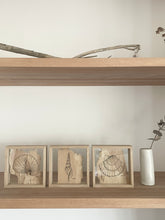 Load image into Gallery viewer, Tibias Spindle Shell | Paperbark
