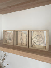 Load image into Gallery viewer, Tibias Spindle Shell | Paperbark
