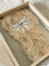 Load image into Gallery viewer, Waratah | Paperbark
