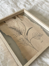 Load image into Gallery viewer, Grevillea | Paperbark
