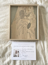 Load image into Gallery viewer, Fairy Wren on Blue Banksia | Paperbark
