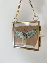 Load image into Gallery viewer, Cicada | Paperbark

