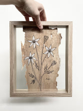 Load image into Gallery viewer, Flannel Flower | Paperbark
