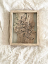 Load image into Gallery viewer, Witchety Bush | Paperbark
