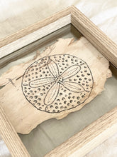 Load image into Gallery viewer, Sand Dollar | Paperbark
