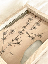 Load image into Gallery viewer, Feather Flower | Paperbark
