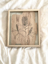 Load image into Gallery viewer, Coastal Banksia | Paperbark
