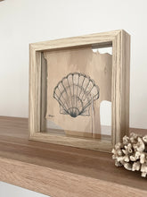 Load image into Gallery viewer, Scallop Shell | Paperbark
