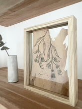 Load image into Gallery viewer, Eucalyptus Synandra | Paperbark
