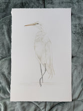 Load image into Gallery viewer, Great Egret
