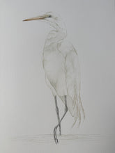 Load image into Gallery viewer, Great Egret
