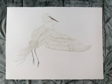 Load image into Gallery viewer, Great Egret in Flight

