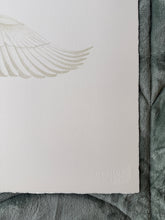 Load image into Gallery viewer, Great Egret in Flight
