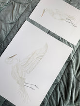 Load image into Gallery viewer, Great Egret in Flight
