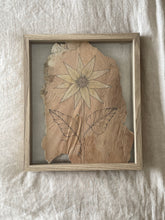Load image into Gallery viewer, Sunflower | Paperbark

