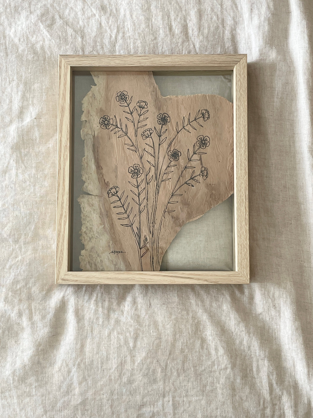 Wax Flower | Paperbark