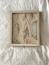 Load image into Gallery viewer, Golden Wattle | Paperbark
