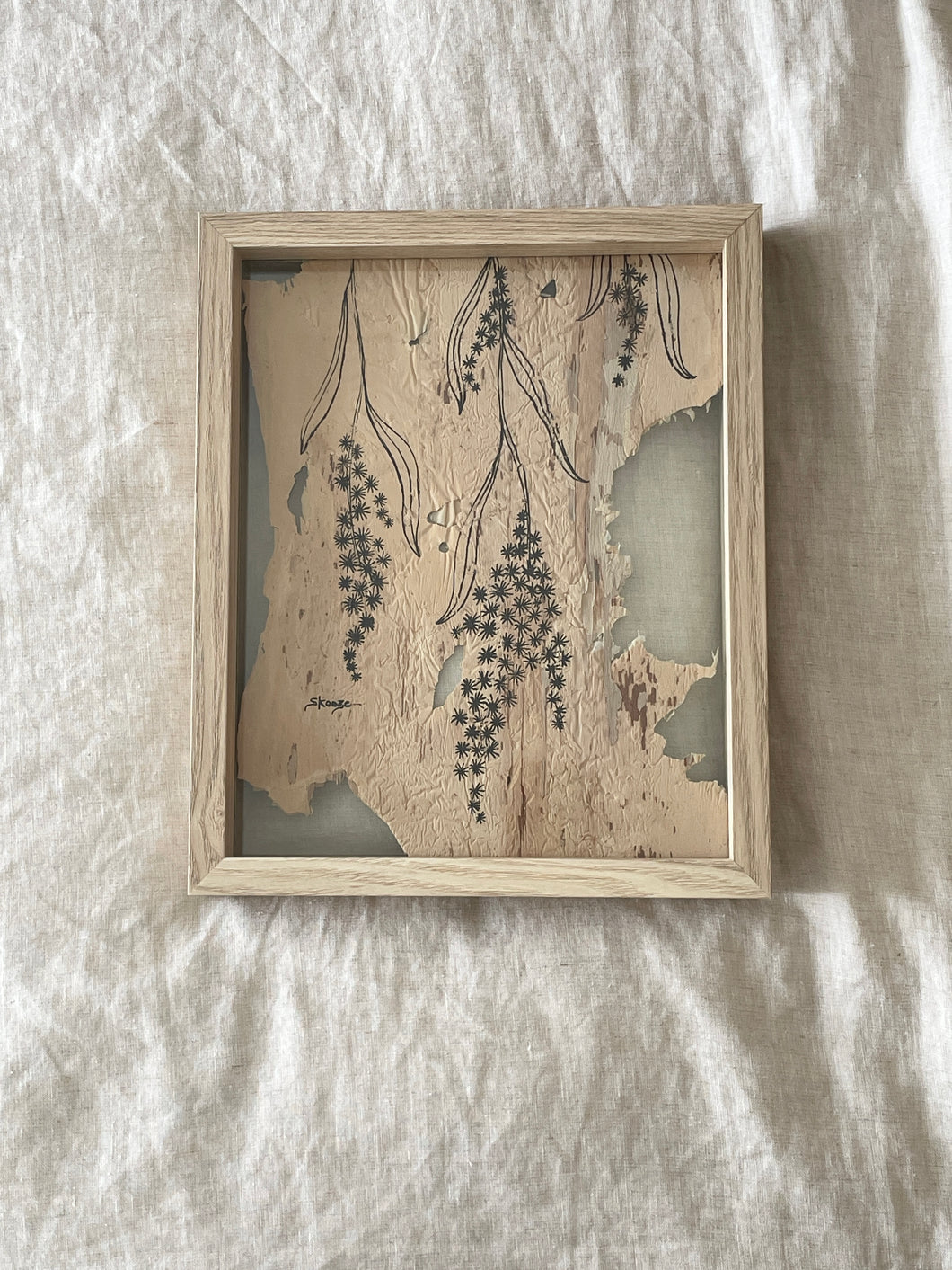 Golden Wattle | Paperbark