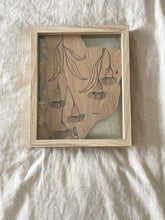 Load image into Gallery viewer, Flowering Gum 2 | Paperbark
