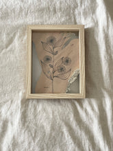 Load image into Gallery viewer, Hakea Laurina | Paperbark
