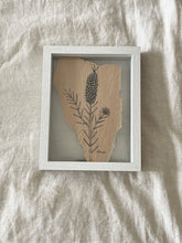 Load image into Gallery viewer, Melaleuca in Flower | Paperbark
