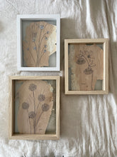 Load image into Gallery viewer, Tamala Desert Rose | Paperbark
