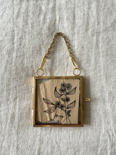 Load image into Gallery viewer, Hakea Laurina | Paperbark
