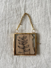 Load image into Gallery viewer, Witchety Bush | Paperbark
