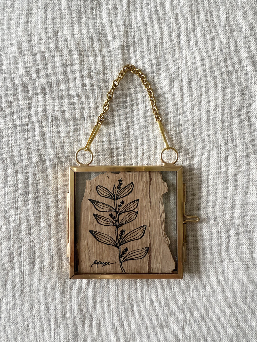 Witchety Bush | Paperbark