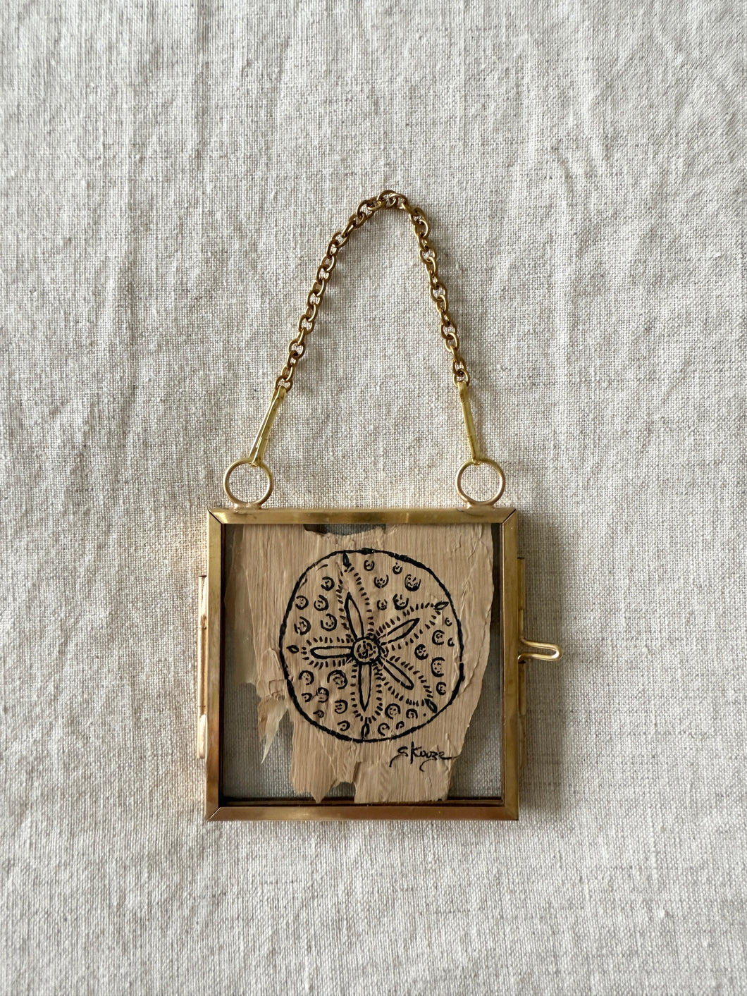 Sand Dollar | Paperbark