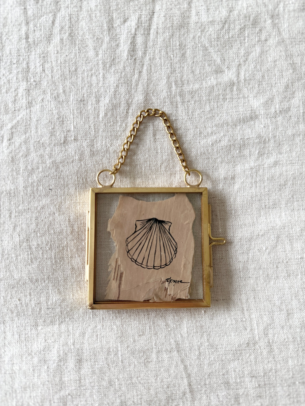 Scallop Shell | Paperbark