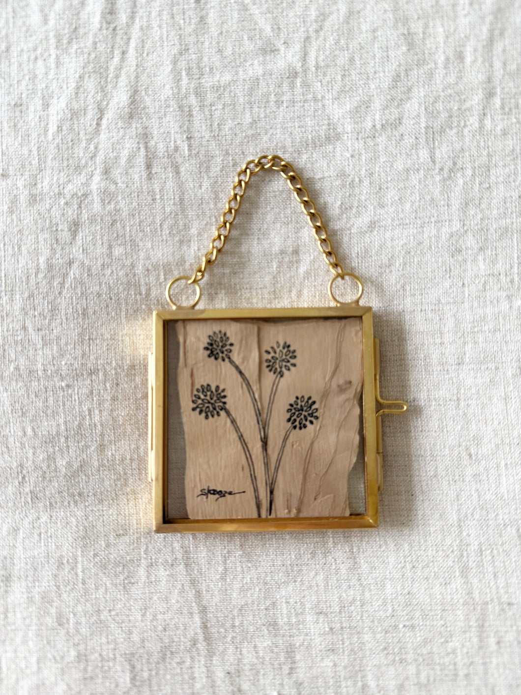 Bachelor Buttons | Paperbark