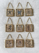 Load image into Gallery viewer, Sea Star | Paperbark
