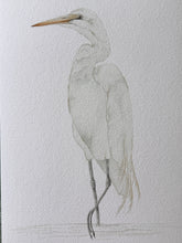 Load image into Gallery viewer, Great Egret

