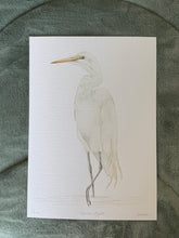 Load image into Gallery viewer, Great Egret
