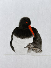 Load image into Gallery viewer, Pied Oyster Catcher and Chick
