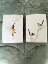 Load image into Gallery viewer, Superb Fairy Wrens
