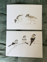 Load image into Gallery viewer, Double-Barred Finches
