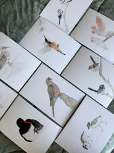 Load image into Gallery viewer, Pied Oyster Catcher and Chick
