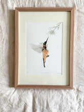 Load image into Gallery viewer, Eastern Spinebill
