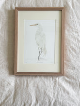 Load image into Gallery viewer, Great Egret
