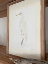 Load image into Gallery viewer, Great Egret
