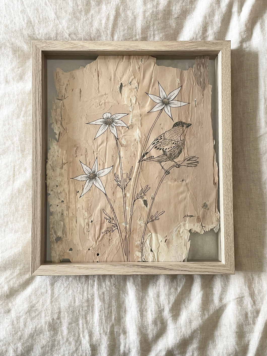 Flannel Flower + Pardalote | Paperbark