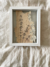 Load image into Gallery viewer, Swan River Myrtle | Paperbark
