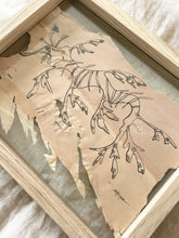 Load image into Gallery viewer, Leafy Sea Dragon | Paperbark
