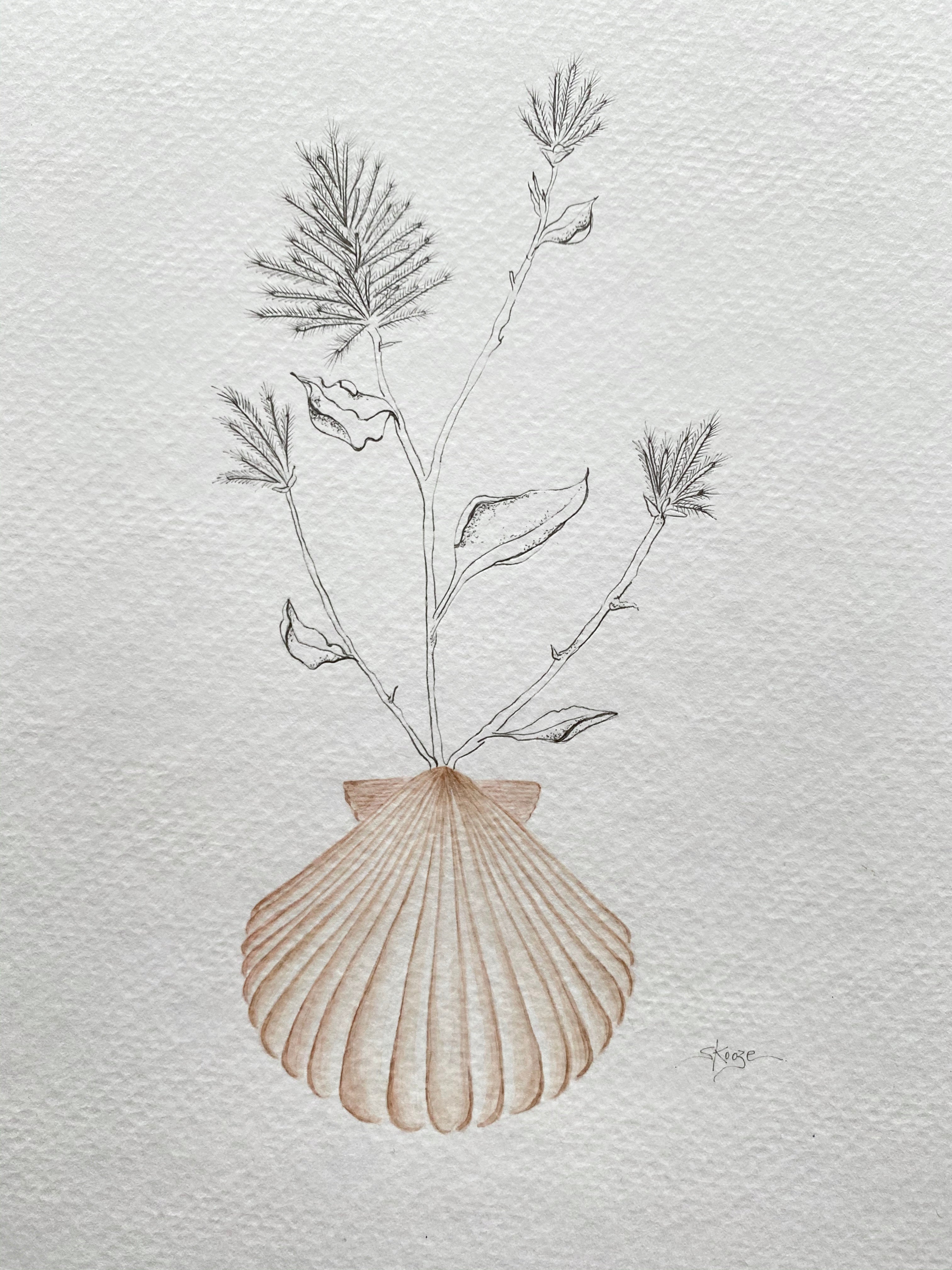 Mulla Mulla Scallop – Skye Prudence