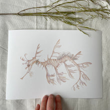 Load image into Gallery viewer, Lenni the Leafy Seadragon
