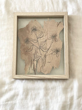 Load image into Gallery viewer, Grey Myrtle | Paperbark
