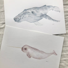 Load image into Gallery viewer, Nip the Narwhal
